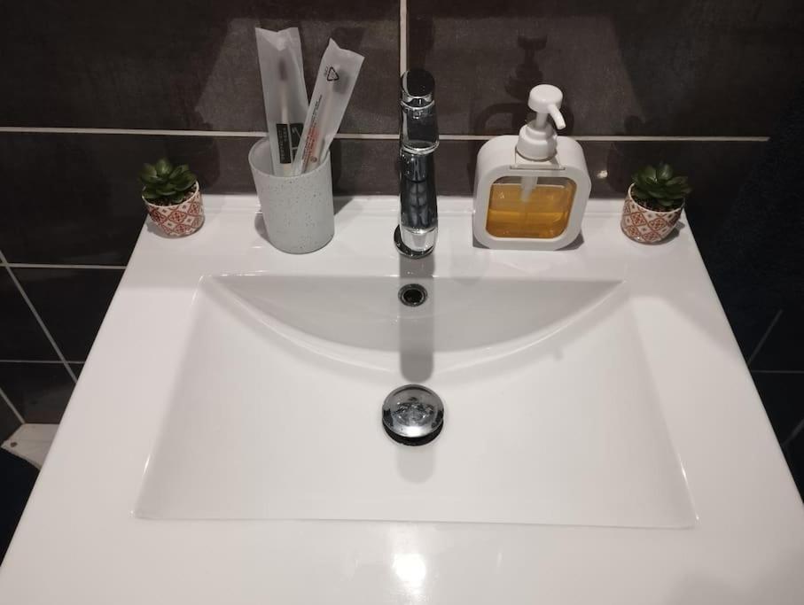 Appartement Coeur De Ville! Foix Eksteriør bilde