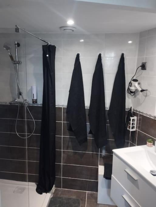 Appartement Coeur De Ville! Foix Eksteriør bilde