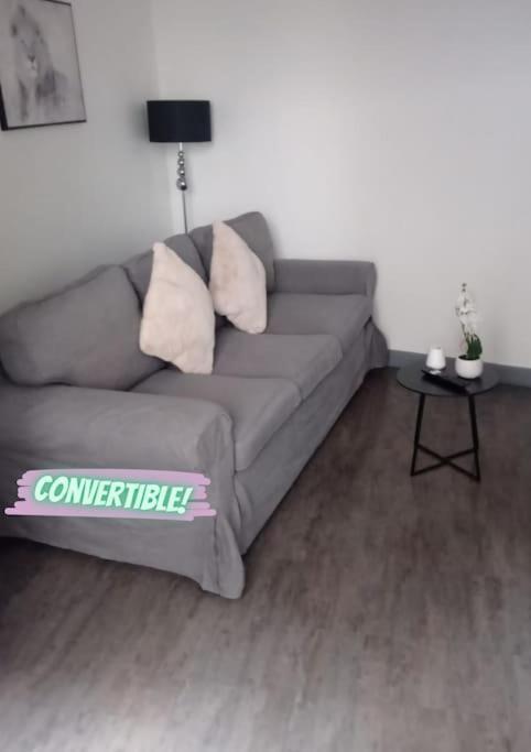 Appartement Coeur De Ville! Foix Eksteriør bilde